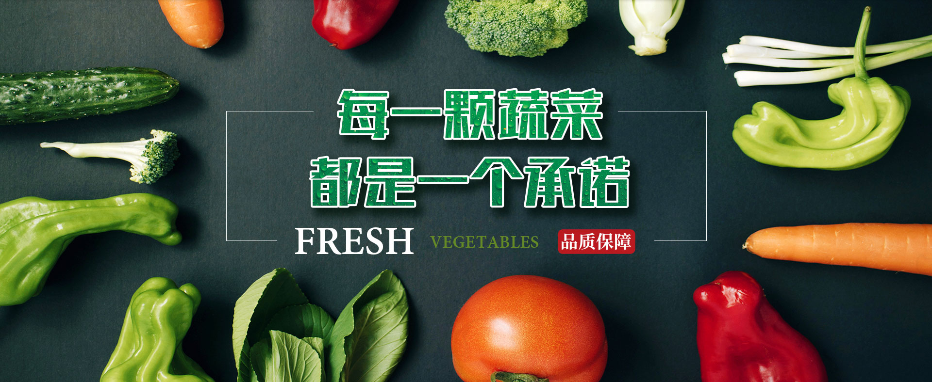 合序重庆生鲜蔬菜批发