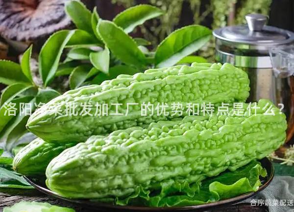 洛阳净菜批发加工厂的优势和特点是什么？