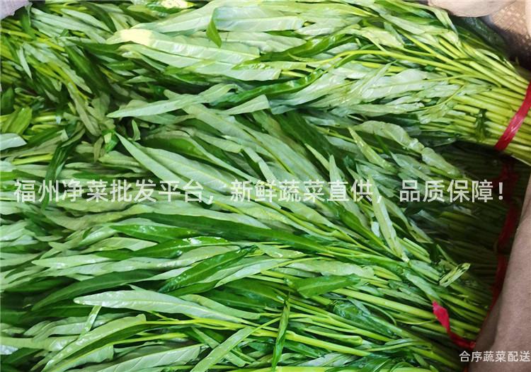 福州净菜批发平台，新鲜蔬菜直供，品质保障！