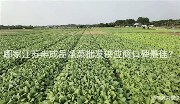 哪家江苏半成品净菜批发供应商口碑最佳？