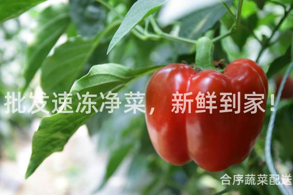 批发速冻净菜，新鲜到家！