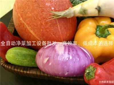 全自动净菜加工设备批发，高效率、低成本的选择