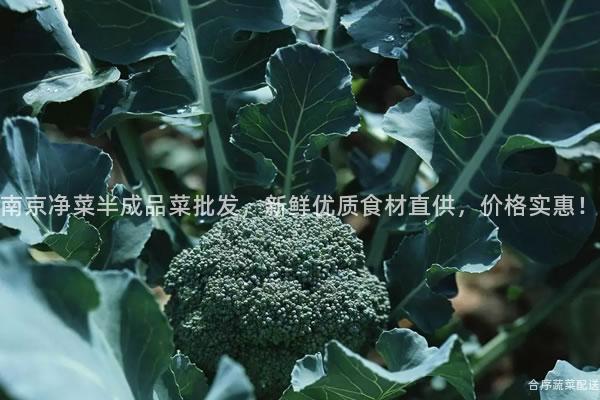 南京净菜半成品菜批发，新鲜优质食材直供，价格实惠！