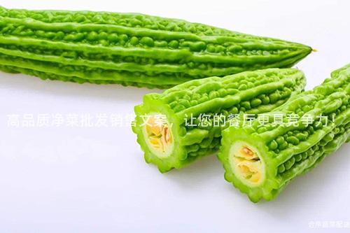 高品质净菜批发销售文案，让您的餐厅更具竞争力！