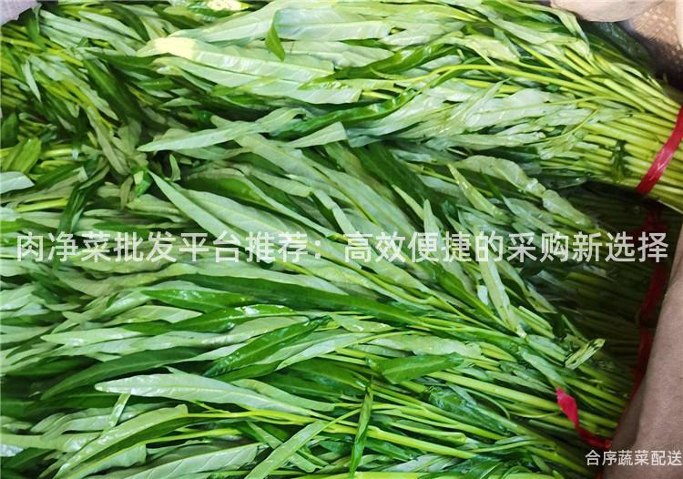 肉净菜批发平台推荐：高效便捷的采购新选择