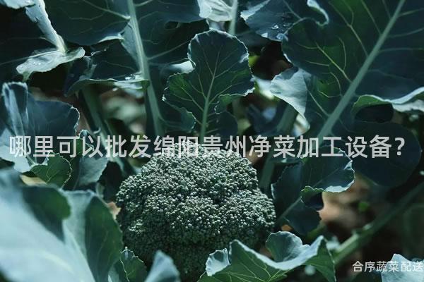 哪里可以批发绵阳贵州净菜加工设备？