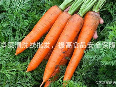 净菜清洗线批发，提高食品安全保障