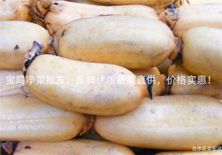 宝鸡净菜批发，新鲜优质蔬菜直供，价格实惠！