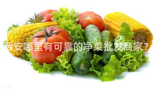 西安哪里有可靠的净菜批发商家？