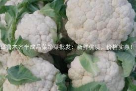 乌鲁木齐半成品菜净菜批发：新鲜优质，价格实惠！