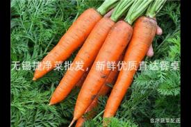 无锡捷净菜批发，新鲜优质直达餐桌