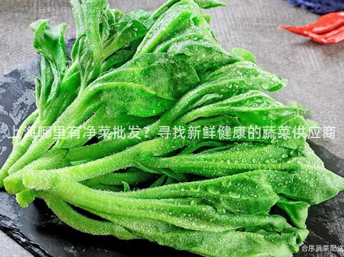 上海哪里有净菜批发？寻找新鲜健康的蔬菜供应商