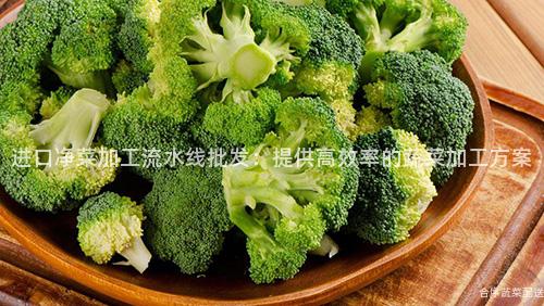 进口净菜加工流水线批发：提供高效率的蔬菜加工方案