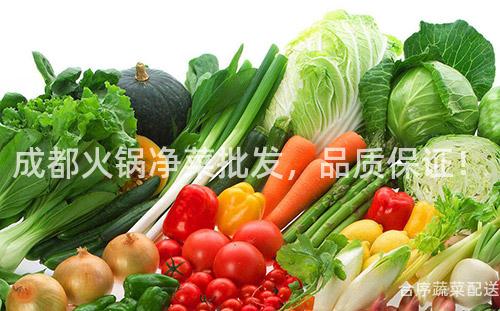 成都火锅净菜批发，品质保证！