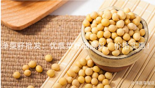 净菜籽批发：优质菜籽油原料，价格实惠！