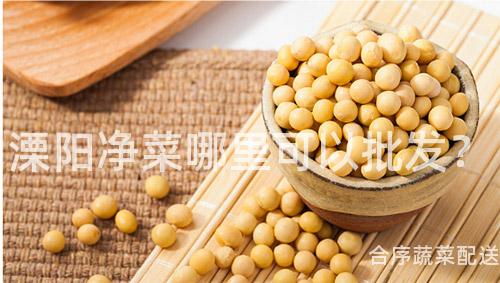 溧阳净菜哪里可以批发？