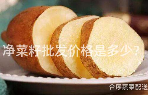 净菜籽批发价格是多少？