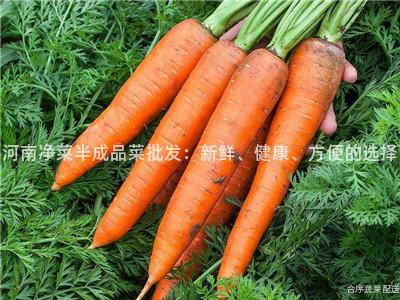 河南净菜半成品菜批发：新鲜、健康、方便的选择