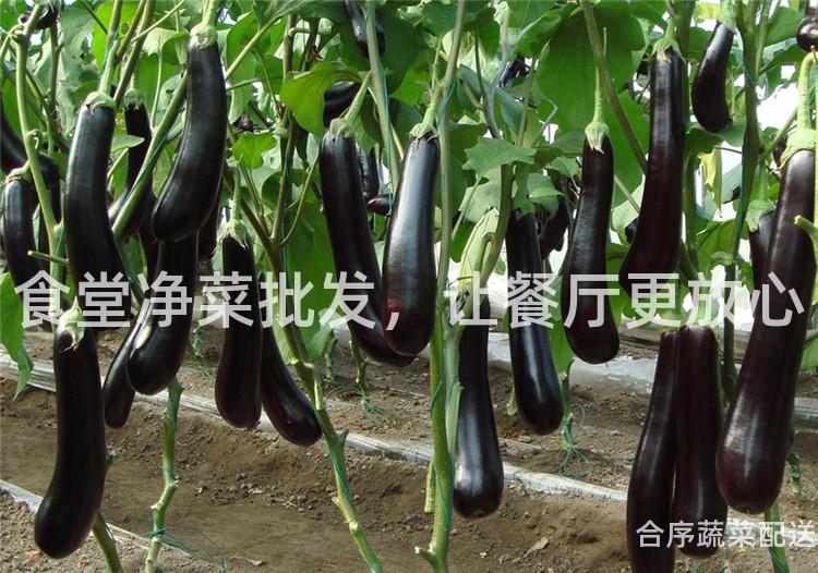 食堂净菜批发，让餐厅更放心