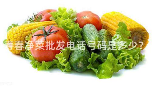寿春净菜批发电话号码是多少？