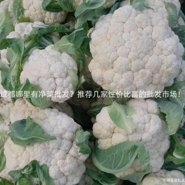 成都哪里有净菜批发？推荐几家性价比高的批发市场！