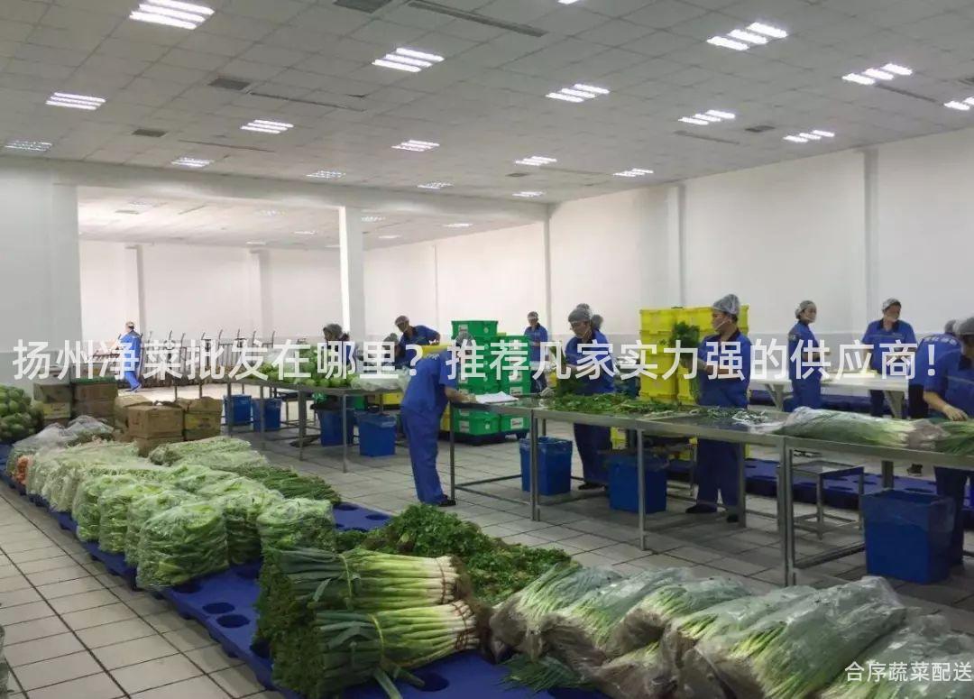 扬州净菜批发在哪里？推荐几家实力强的供应商！