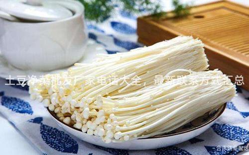 土豆净菜批发厂家电话大全，最新联系方式汇总