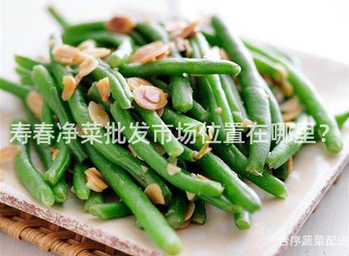 寿春净菜批发市场位置在哪里？