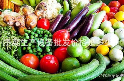净菜生产设备批发价格是多少？
