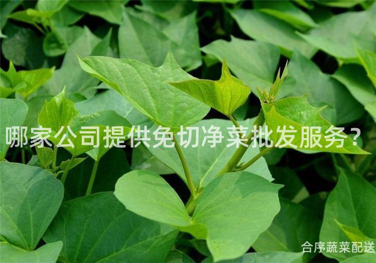 哪家公司提供免切净菜批发服务？