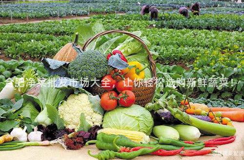 合肥净菜批发市场大全，让你轻松选购新鲜蔬菜！