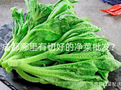 成都哪里有切好的净菜批发？