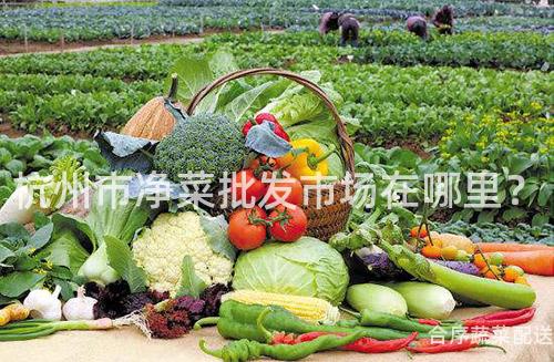 杭州市净菜批发市场在哪里？