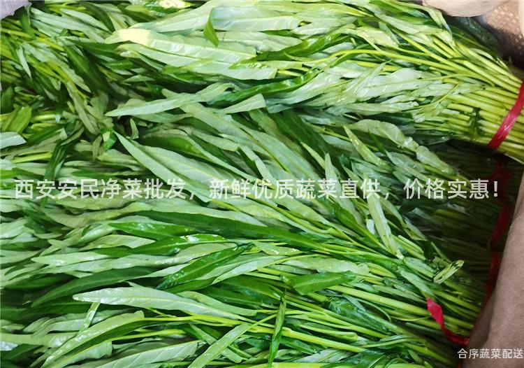 西安安民净菜批发，新鲜优质蔬菜直供，价格实惠！
