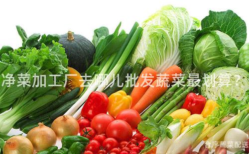 净菜加工厂去哪儿批发蔬菜最划算？
