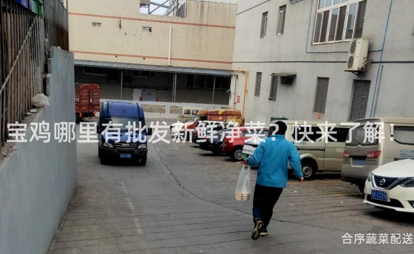 宝鸡哪里有批发新鲜净菜？快来了解！