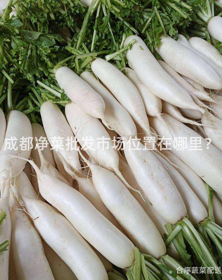 成都净菜批发市场位置在哪里？