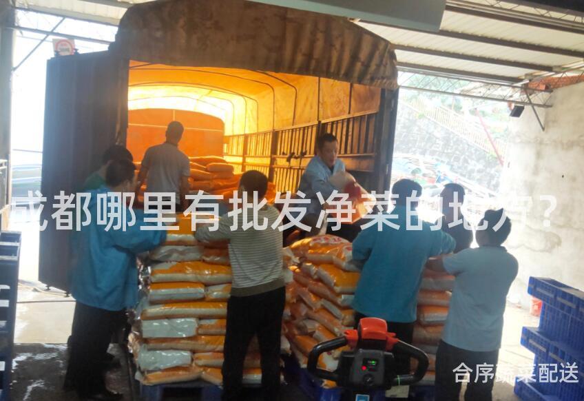 成都哪里有批发净菜的地方？
