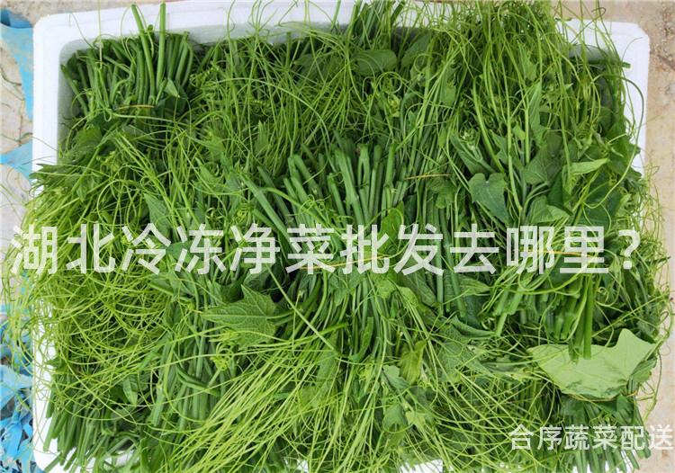 湖北冷冻净菜批发去哪里？