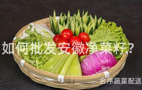 如何批发安徽净菜籽？