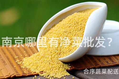 南京哪里有净菜批发？