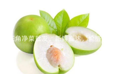 珠三角净菜批发，新鲜直达，价格优惠！