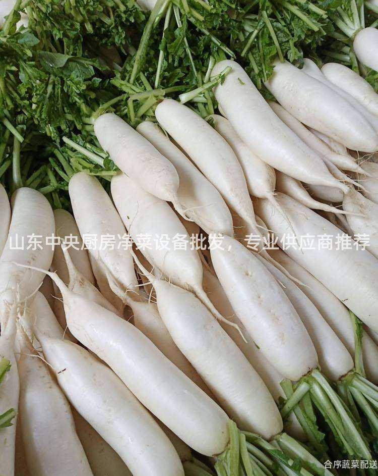 山东中央厨房净菜设备批发，专业供应商推荐