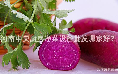 河南中央厨房净菜设备批发哪家好？
