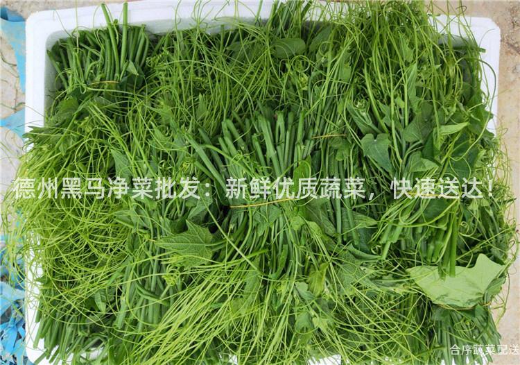 德州黑马净菜批发：新鲜优质蔬菜，快速送达！