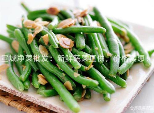 宣城净菜批发：新鲜蔬菜直供，价格实惠！