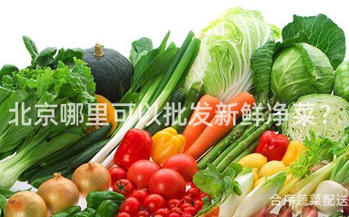 北京哪里可以批发新鲜净菜？
