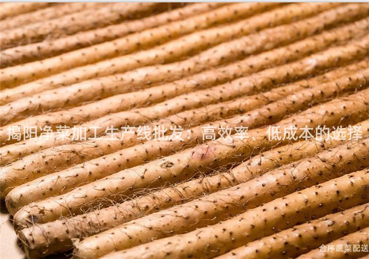 揭阳净菜加工生产线批发：高效率、低成本的选择