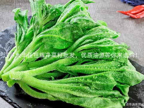 江苏大丰任祖辉净菜籽批发，优质油源等你来选购！