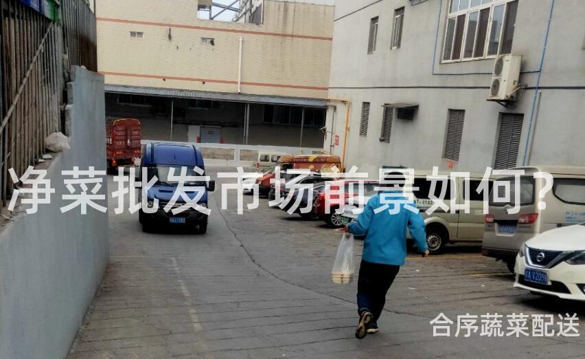 净菜批发市场前景如何？